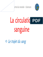 La Circulation Sanguine Le Trajet Du Sang