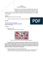 ALEA - Exercise 8 Plasmolysis