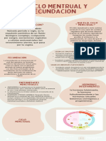 Infografia Evolucion Humana Ilustrado Colores Neutrales