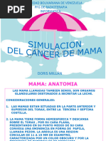 Simulacion Mama