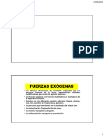 Fuerzas Exogenas 