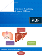 Perfil Hepático - Evaluación de Enzimas y Marcadores de La Función Del Hígado