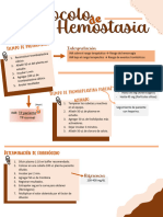 Protocolo de Hemostasia 2022