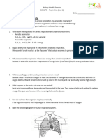 Biology WE g8 s1 PB - Respiration Part 1 Kunci Jawaban