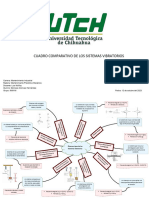 Cuadro Comparativo de Los Sistemas Vibratorios