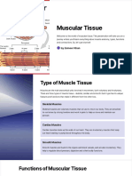 Muscular Tissue