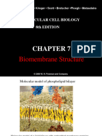 ch10 Biomembrane structure-LODISH