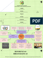 Organizador Grafico Curriculo