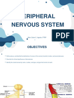 Nervous System 2