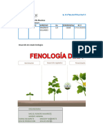 Evaluacion de Cultivo de Pepinillo