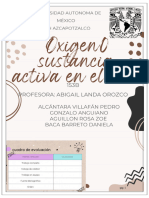 Oxigeno Sustancia Activa Del Aire