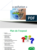 Exposé Sur La Pollution