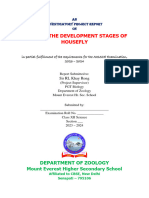 Study of The Development Stages of Housefly (Cover Page-certificate-Acknowlegement)