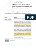 Aggregatibacter Actinomycetemcomitans