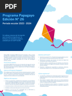 Volante Digital Convocatoria Papagayo n26