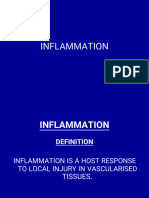 Inflammation and Repair 26-08-22