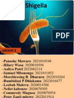 Group 3 Shigella