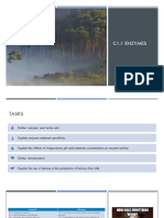 c1.1 Enzymes