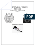 SEGURIDAD PUBLICA Y CIENCIAS FORENCES Metodologia Trabajo Final