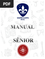 Manual Senior Promessa e Investidura Ok