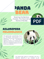 Panda Bear