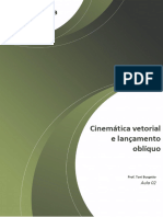 Aula 02 - Cinemática Vetorial. Velocidade Vetorial.