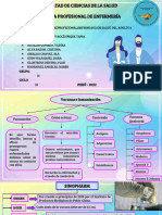 Organizador Visual - Vacunas Covid