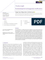 Haonew Phytologist - 2020 - Tang - Fruit Development and Epigenetic Modifications