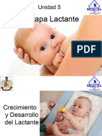 Unidad 5 Etapa Lactante