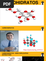 Carbohidratos y Lípidos