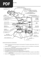 The Microscope