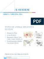 Digestive and Endocrine System