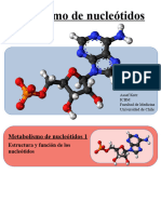 Clase 11 Metabolismo de Compuestos Nitrogenados II Corregida