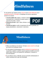 Mindfulness Final