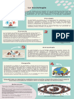 Infografia Sociologia y Sus Disciplinas