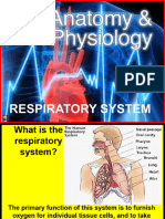 172 Anatomy Resp System