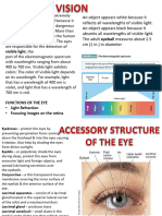 Lab 22 The Eye Vision