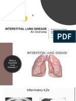 ILD - DR - Dianiati - Satsim9