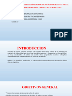 Informe de Cedron