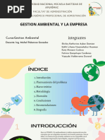 Gestion Ambiental y La Empresa