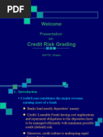 Credit Risk Grading