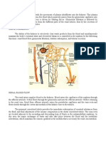 Expt. 29 Urine Formation