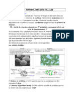 TP METABOLISME DES CELLULES Classe de 2nde