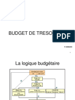 Budget de Trésorerie Version2