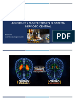 Adiciones y Sus Efectos en El Cerebro