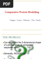 Protein Modelling