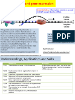 (7.2) Transcription - and - Gene - Expression - AHL - 2023