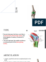 Knee Joint