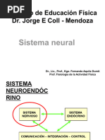 Unidad 2 - Sistema Nervioso