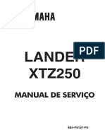 MS.2006.XTZ250 LANDER.4B4.P0.2a.ED